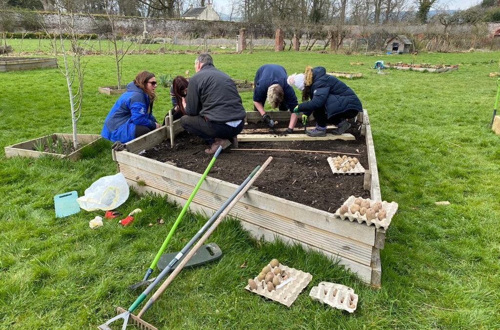 Why volunteering for your DofE is rewarding!