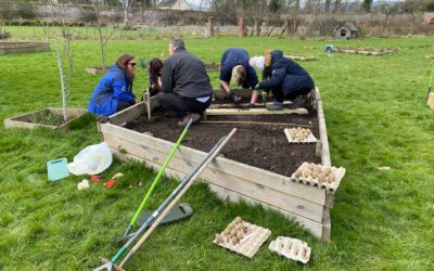 Why volunteering for your DofE is rewarding!