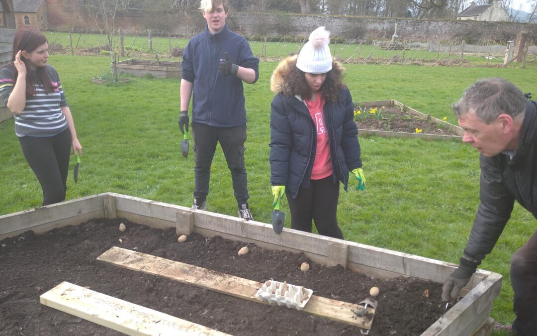 Spring is returning to Megginch!