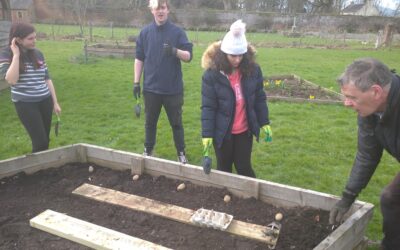 Spring is returning to Megginch!