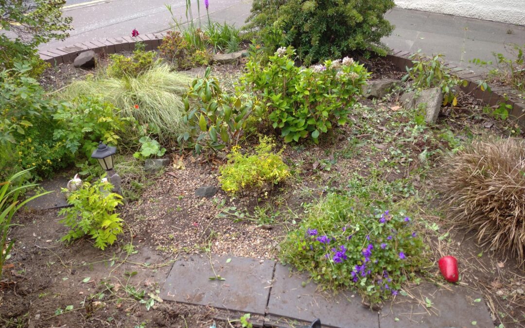 Garden Project with Strathmore sheltered housing