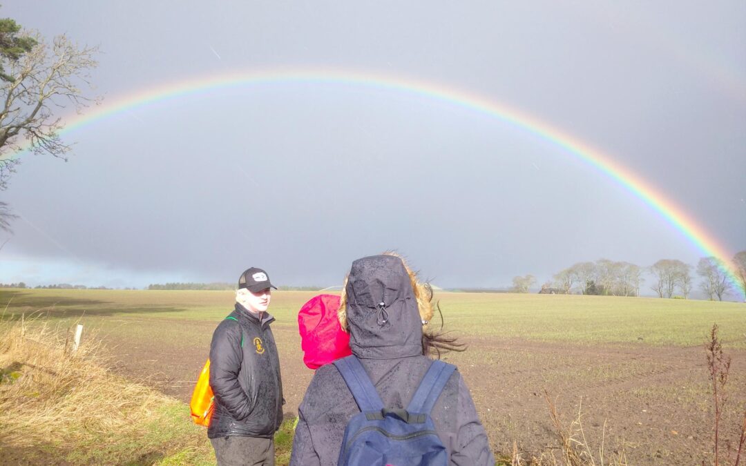 Celebrating Bronze and Silver Awards! #SuccessBulletin