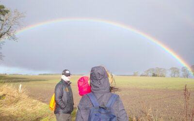 Celebrating Bronze and Silver Awards! #SuccessBulletin